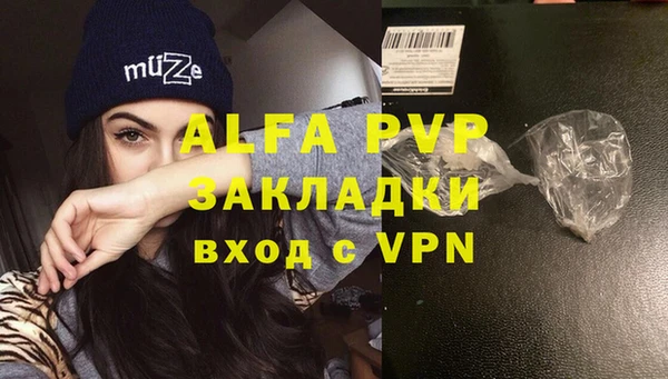 стафф Богданович